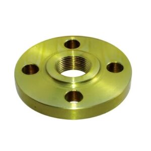 MS THREADED FLANGE